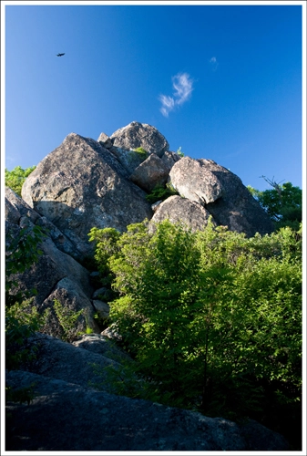 A back view of Mary's Rock.