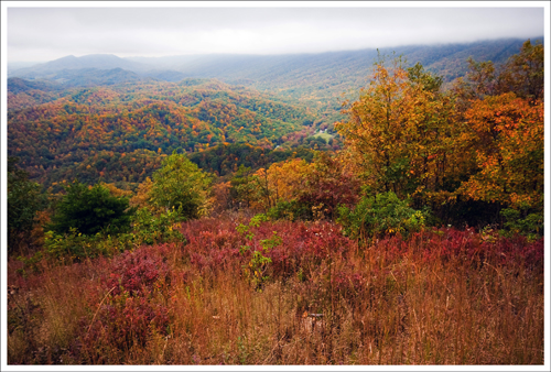 The view from the top was obscured by fog and clouds, but it was still beautiful with all the fall color.