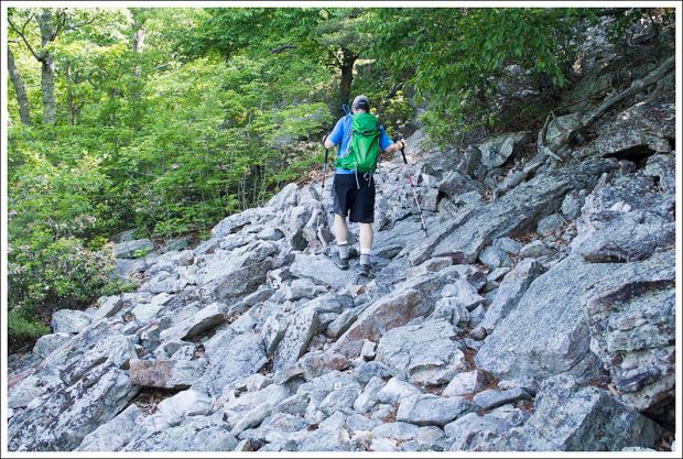 The Signal Knob Trail is Very Rocky