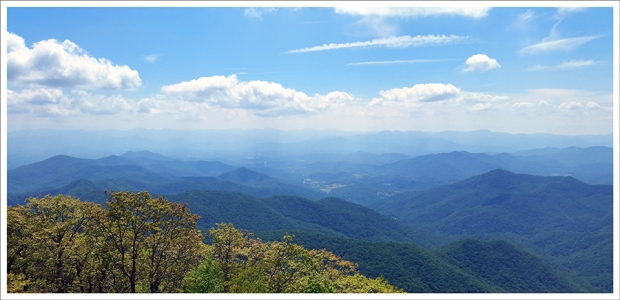 The View from Wayah Bald